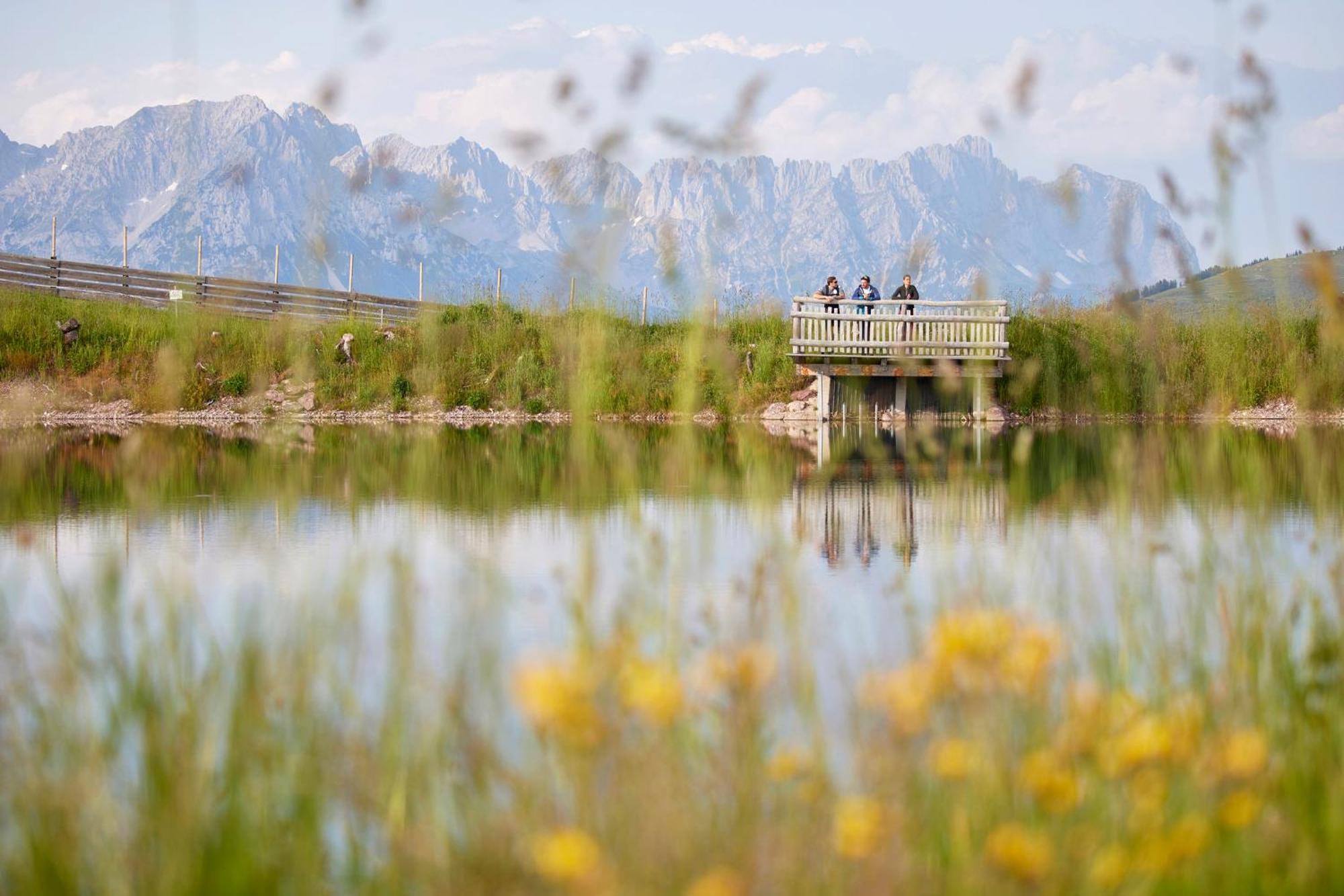Das Hohe Salve Sportresort, 4 Sterne Superior هوبفغراتن إم بريكسنتال المظهر الخارجي الصورة